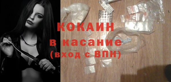 дживик Горняк