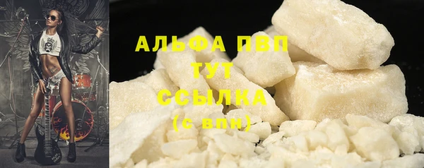 дживик Горняк