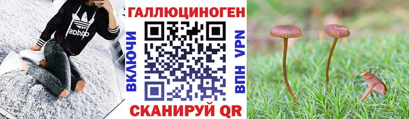 Галлюциногенные грибы мицелий Энгельс