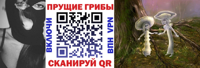 ОМГ ОМГ зеркало  Энгельс  даркнет наркотические препараты  Псилоцибиновые грибы GOLDEN TEACHER 
